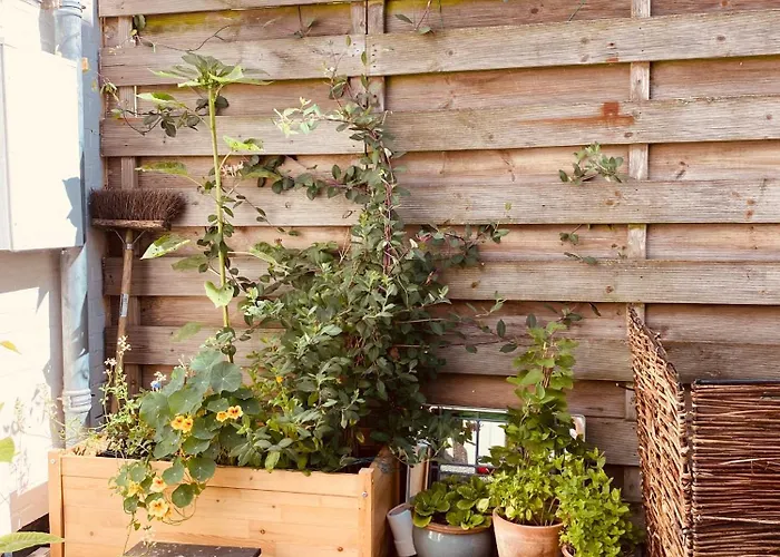 Familiehuis Aan Zee Met Ruim Dakterras Villa *