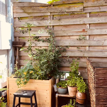 Familiehuis Aan Zee Met Ruim Dakterras Villa *